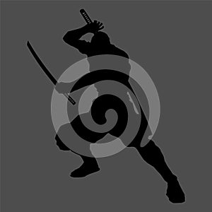 Ninja silhouette