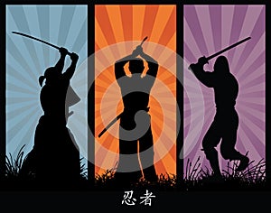 Ninja Silhouettes