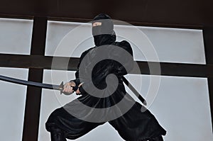 Ninja warrior, Japan