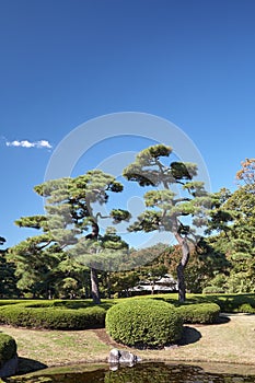 Ninomaru Garden at the Tokyo Imperial Palace. Tokyo. Japan