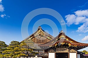 The Ninomaru Palace in Nijojo Castle Kyoto, Japan