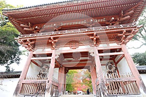 Nio Gate and autumn leaves in Daigoji Temple, Kyoto, Japan