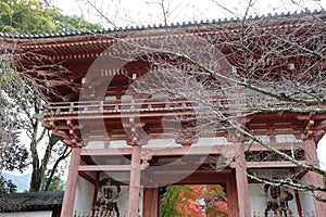 Nio Gate and autumn leaves in Daigoji Temple, Kyoto, Japan photo