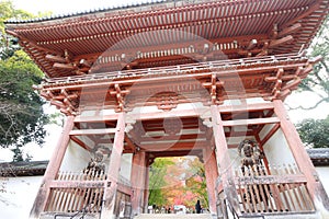 Puerta a otono hojas en templo kioto Japón 