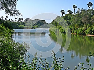 Niokolo Koba national Park, Senegal.