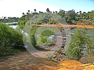 Niokolo Koba national Park, Senegal.