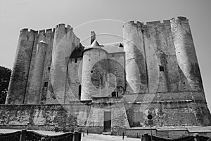 Niort (France): castle