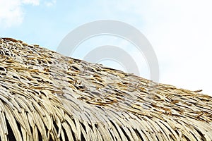 Nipa leaves roof