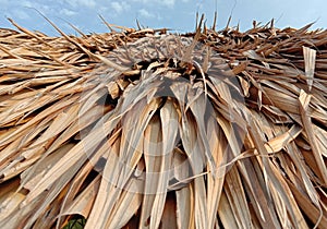 Nipa palm dried leaves and bamboo made the roof of the house.