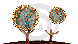 Nipah virus attaching receptors on human cells, a newly emerging bat-borne virus