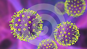 Nipah virus, a newly emerging bat-borne virus