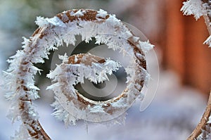 Nipping frost on fence photo