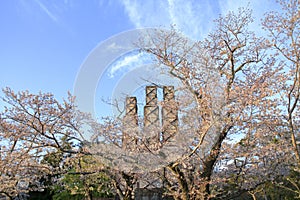 Nirayama reverberatory furnaces and cherry blossoms