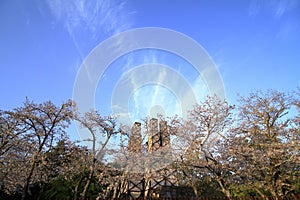 Nirayama reverberatory furnaces and cherry blossoms