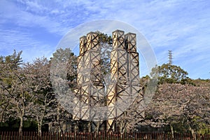 Nirayama reverberatory furnaces and cherry blossoms