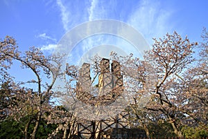 Nirayama reverberatory furnaces and cherry blossoms