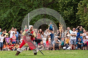 Spectacular Medieval Knight Demonstration at International Festival