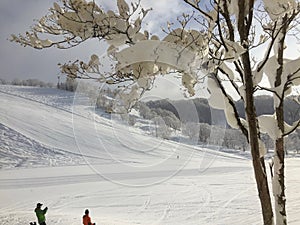 Niseko ski resort