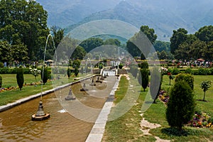 Nishat garden, Srinagar