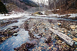 Nishi river in winter