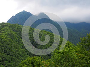 Nishizawa Valley in Yamanashi, Japan