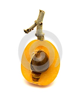 Nispero, Japanese medlar fruit isolated on white