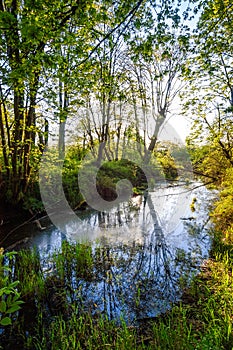 Nisqually National Wildlife Refuge