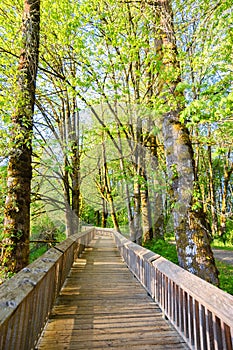 Nisqually National Wildlife Refuge