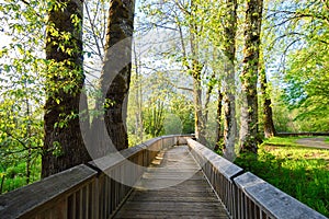 Nisqually National Wildlife Refuge