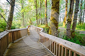 Nisqually National Wildlife Refuge photo