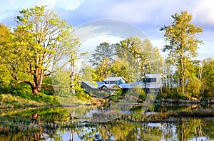 Nisqually National Wildlife Refuge photo