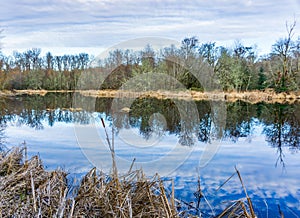 Nisqually Wetlands Reflecions 4