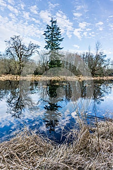 Nisqually Wetlands Reflecions 5