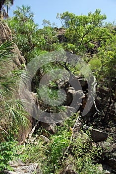 Nitmiluk N.P. - Australia