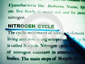 nitrogen cycle system displaying on text form paper sheet