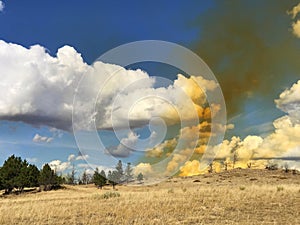 Nitrogen dioxide cloud