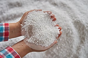 Nitrogen fertilizers or urea fertilizer in farmer hand. blur white fertilizer background. photo