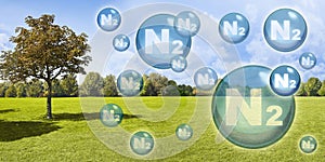 Nitrogen the most important fertilizer for the lawn - Concept with nitrogen molecules against a natural rural scene