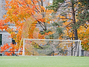 Nixon Field of the Queen's University