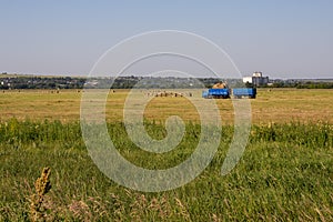 Nizhny Novgorod Region, Russia - July 8, 2020: Blue truck with a trailer carrying rolls of hay, autumn haymaking. Rural landscape