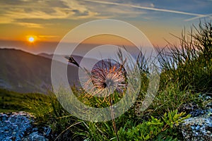 Nizke Tatry mountain in Slovakia