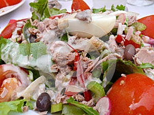 NiÃÂ§oise salad