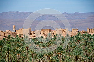 NKotb palm grove in the province of Zagora, in the Atlas Mountains of Morocco