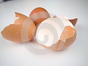 Brown and cream colored egg shells