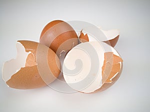 Brown and cream colored egg shells