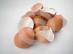 Brown and cream colored egg shells
