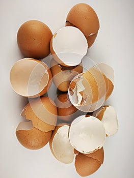 Brown and cream colored egg shells