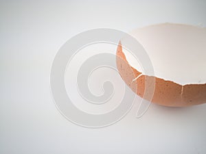 Brown and cream colored egg shells