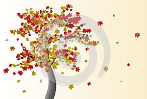 Maple tree with leaves