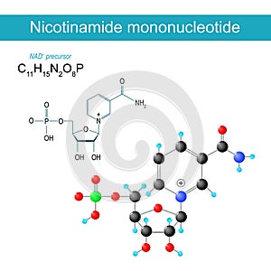 NMN molecule. Nicotinamide mononucleotide